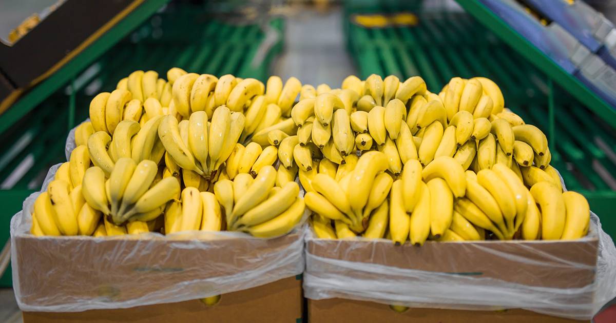 Imagen de Banano