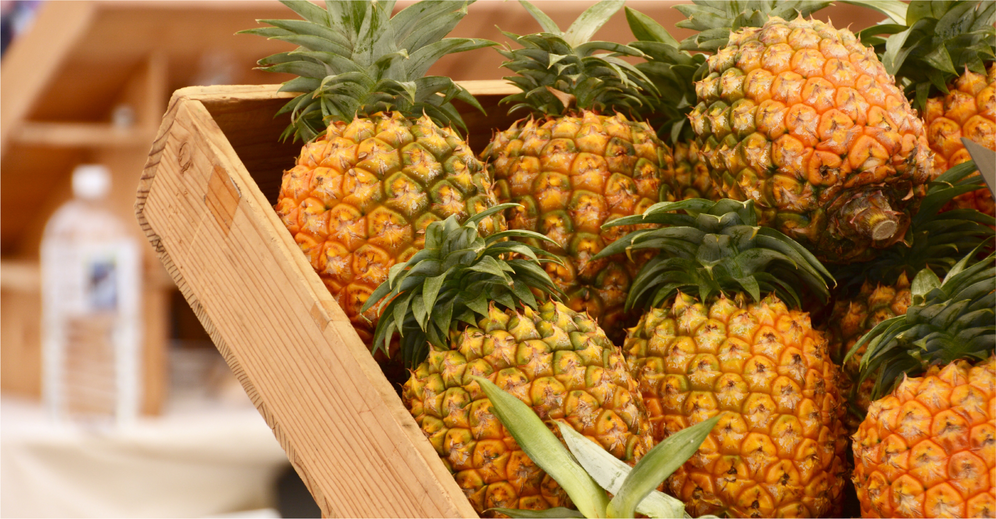Imagen de Piña