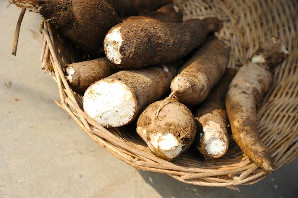 Imagen de Yuca